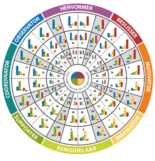 Insights discovery wiel