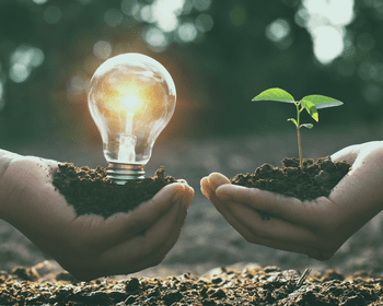 Zelfkennis, het begin van alle wijsheid