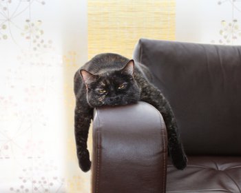 Een burn-out is geen medische aangelegenheid