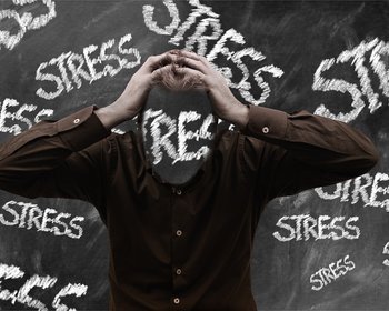 Stress en de werking van ons brein